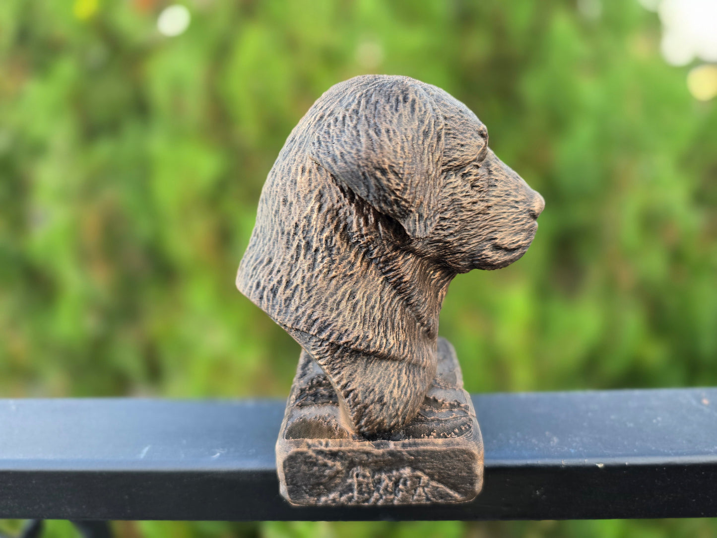 Anatolian Shepherd Dog Bust