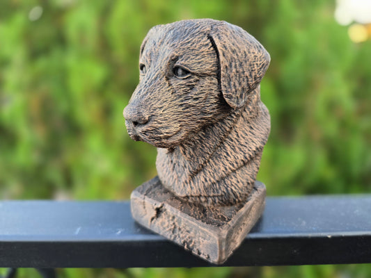 Anatolian Shepherd Dog Bust