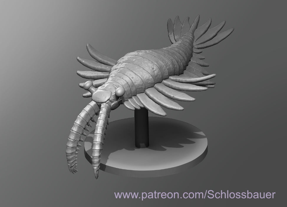 Dungeons & Dragons Anomalocaris Miniature