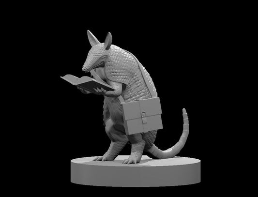 Dungeons & Dragons Armadillo Wizard Miniature