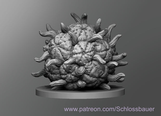 Dungeons & Dragons Ascmomoid Miniature
