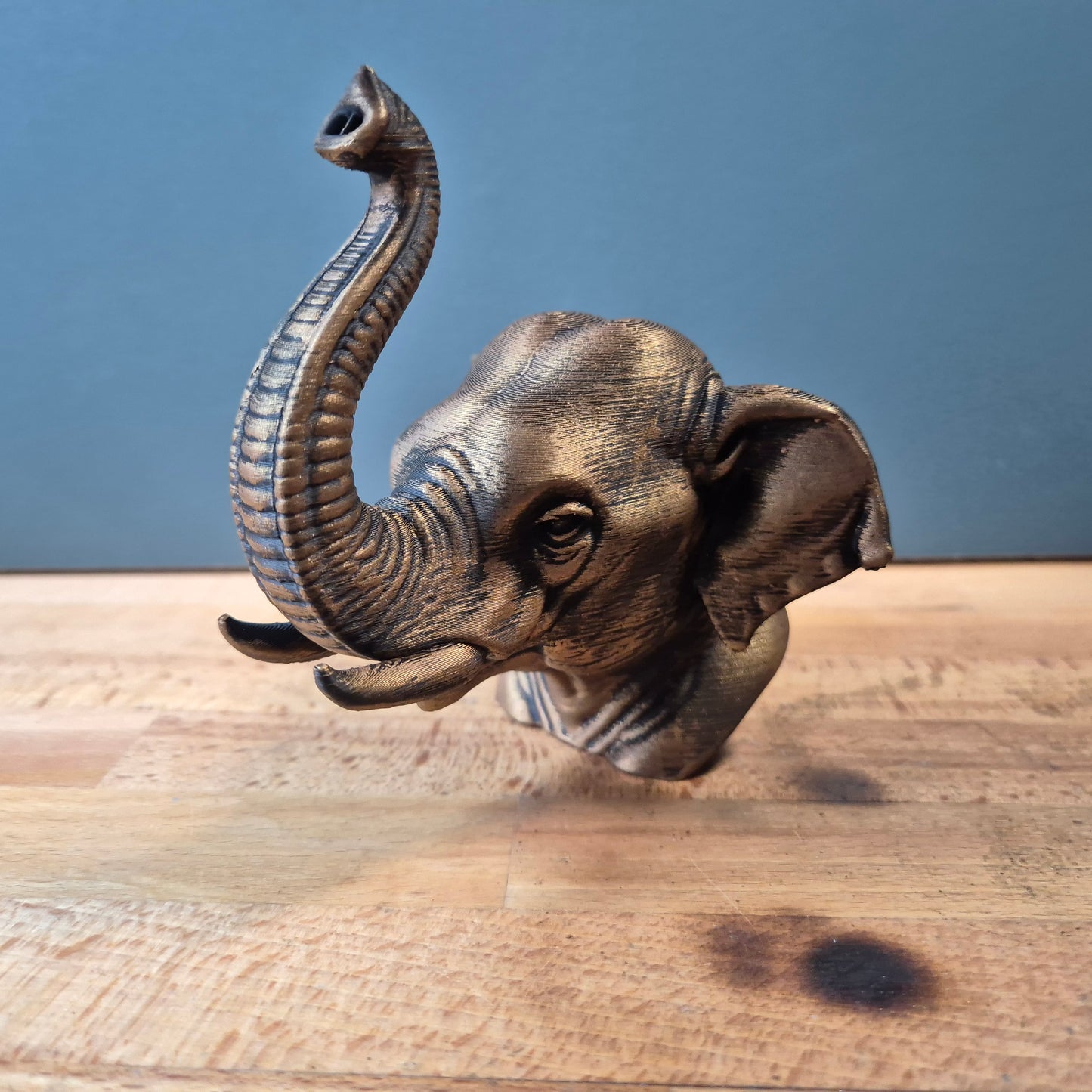 Asian Elephant Bust