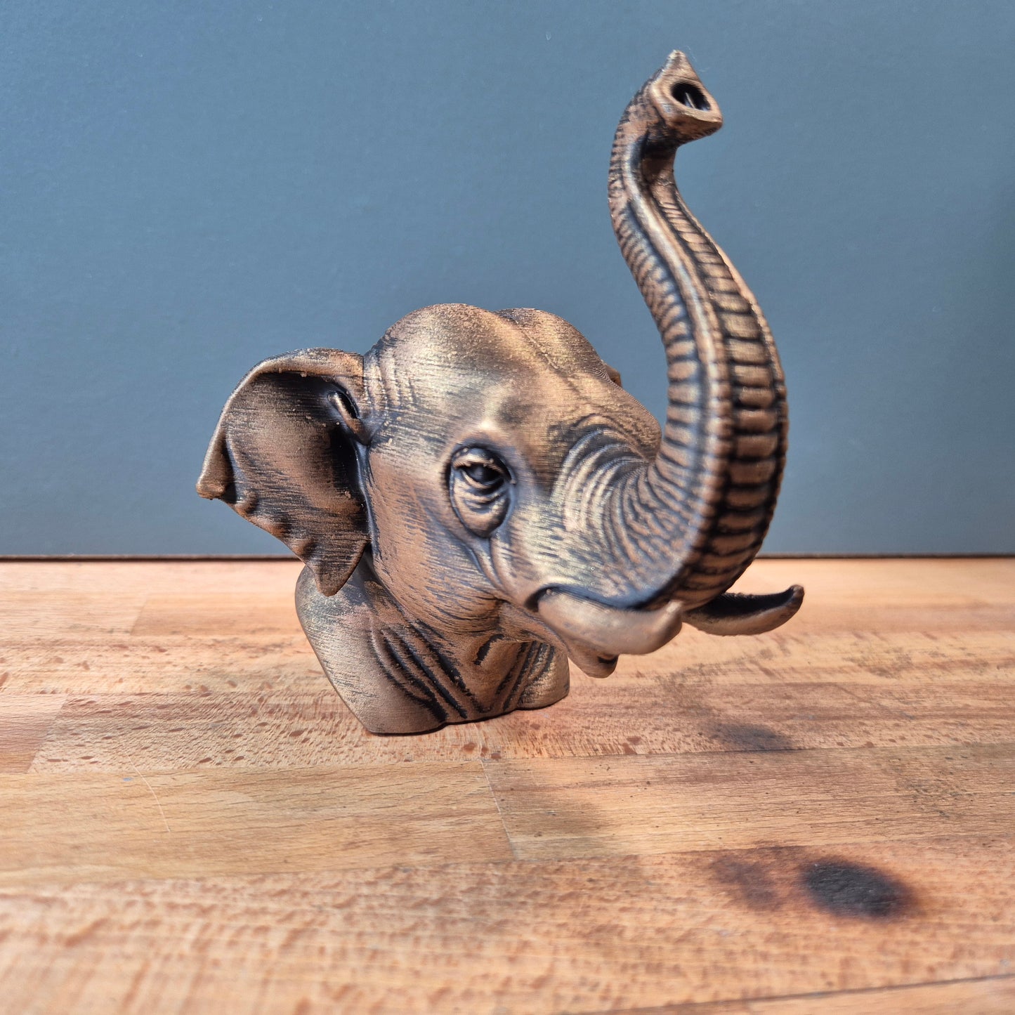 Asian Elephant Bust