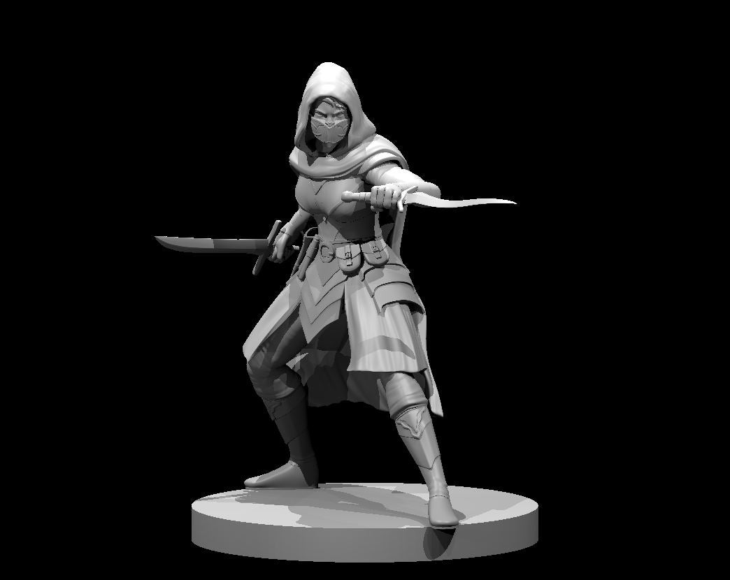 Dungeons & Dragons Assassin Female Miniature