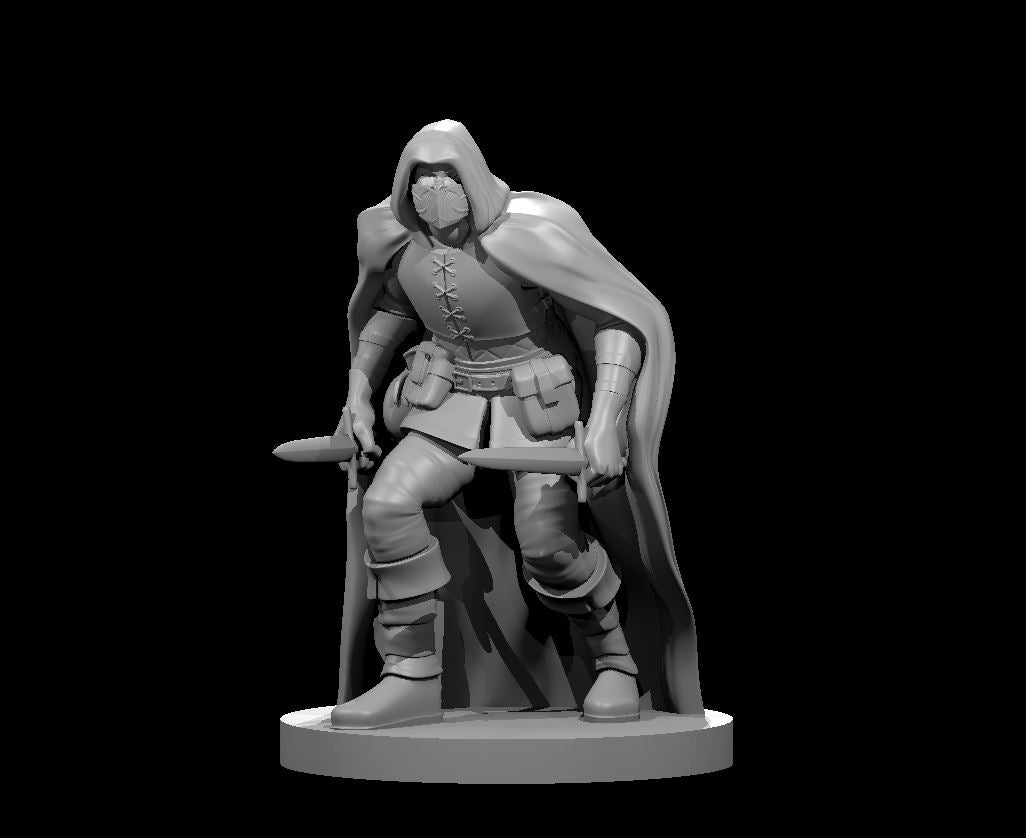 Dungeons & Dragons Assassin Male Miniature