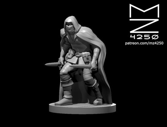 Dungeons & Dragons Assassin Male Miniature