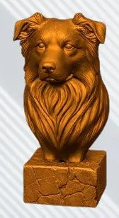 Australian Shepherd Bust