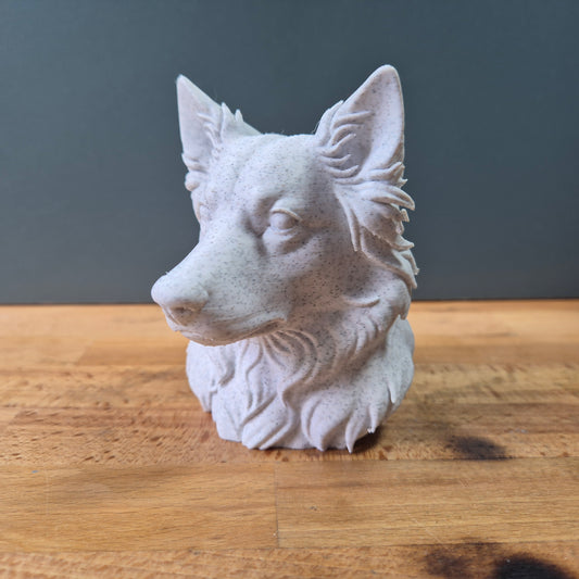 Australian Shepherd Bust