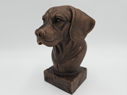 Beagle Bust