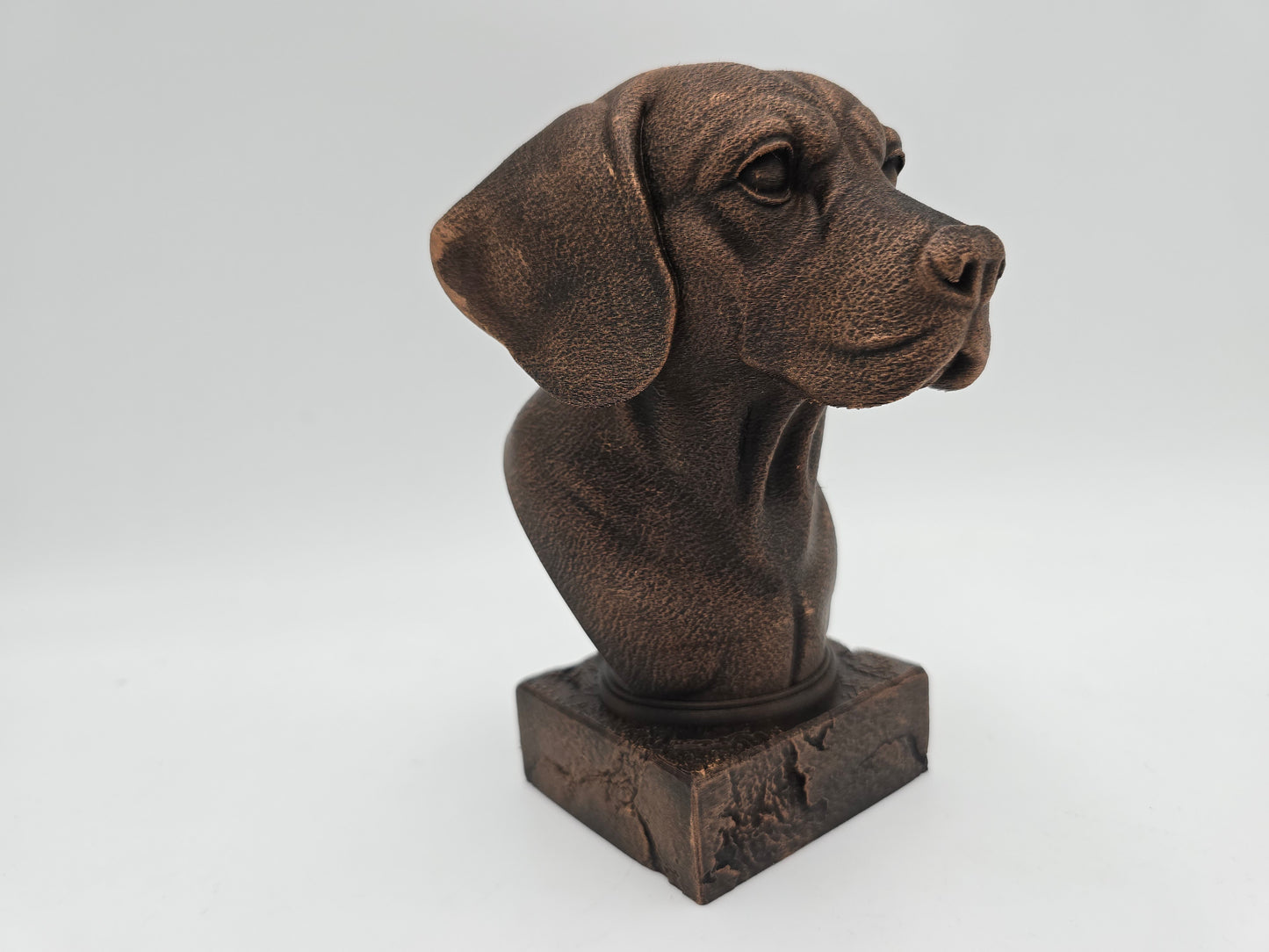 Beagle Bust