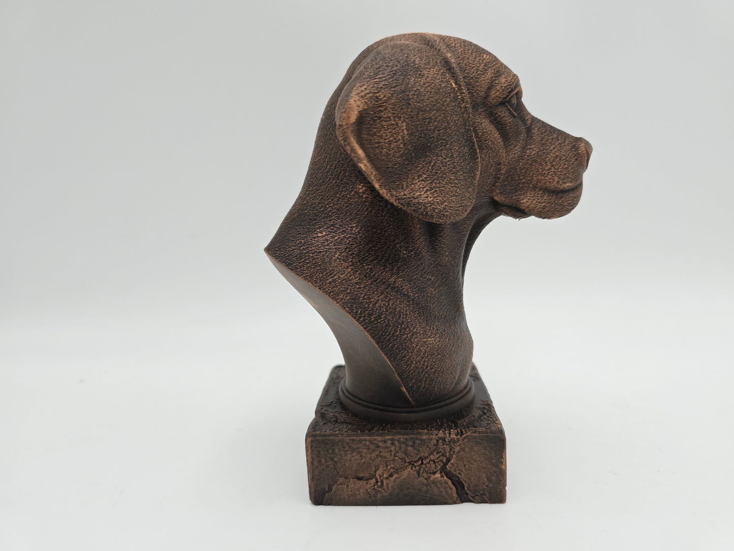 Beagle Bust