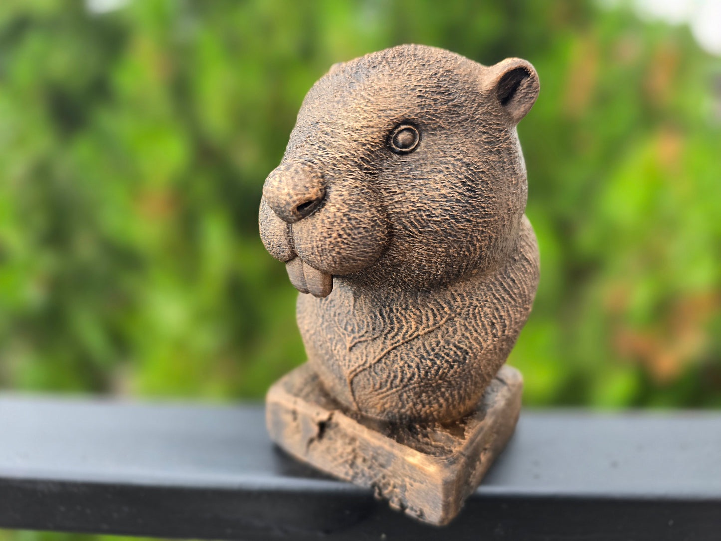 Beaver Bust
