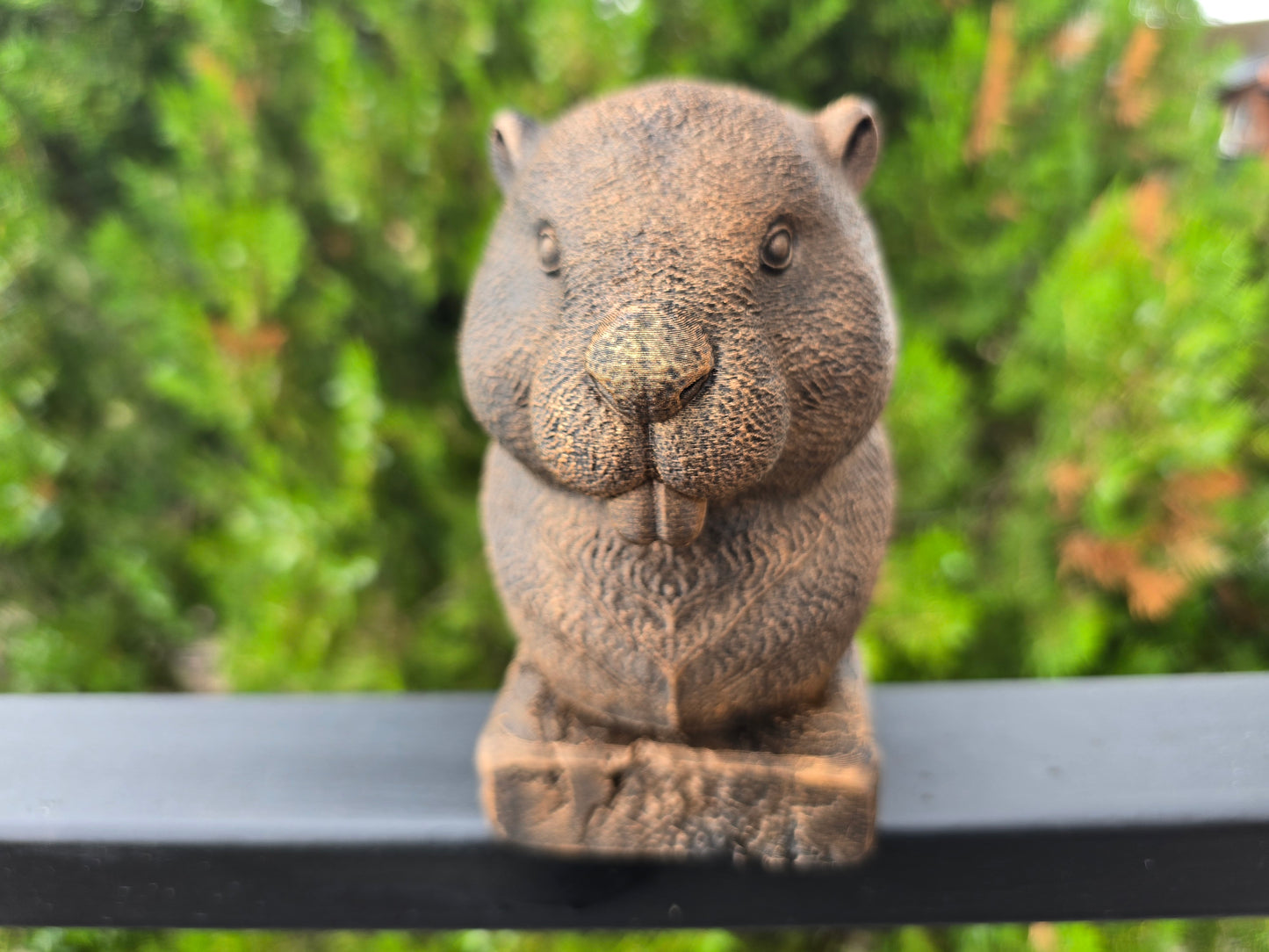 Beaver Bust