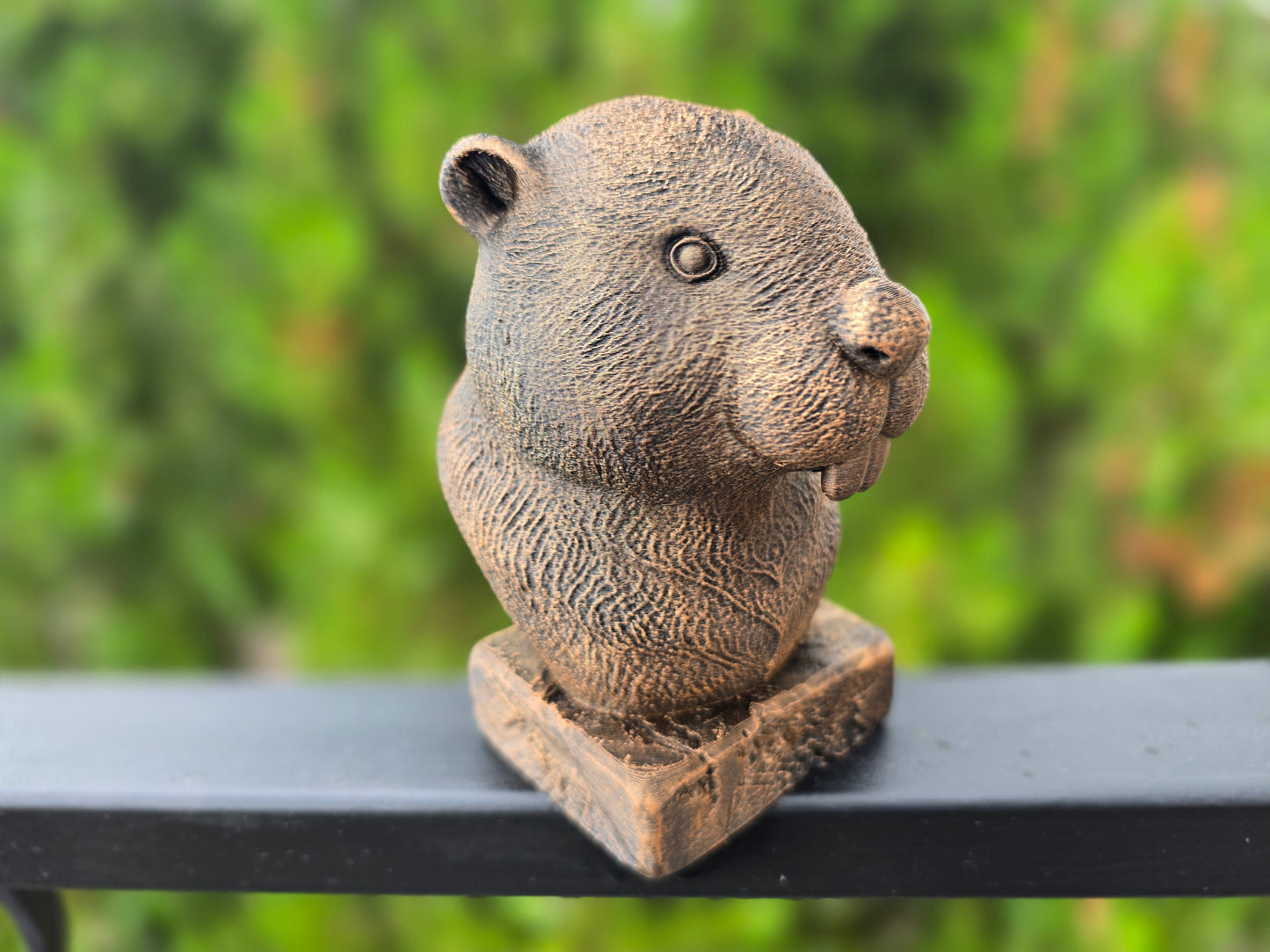 Beaver Bust