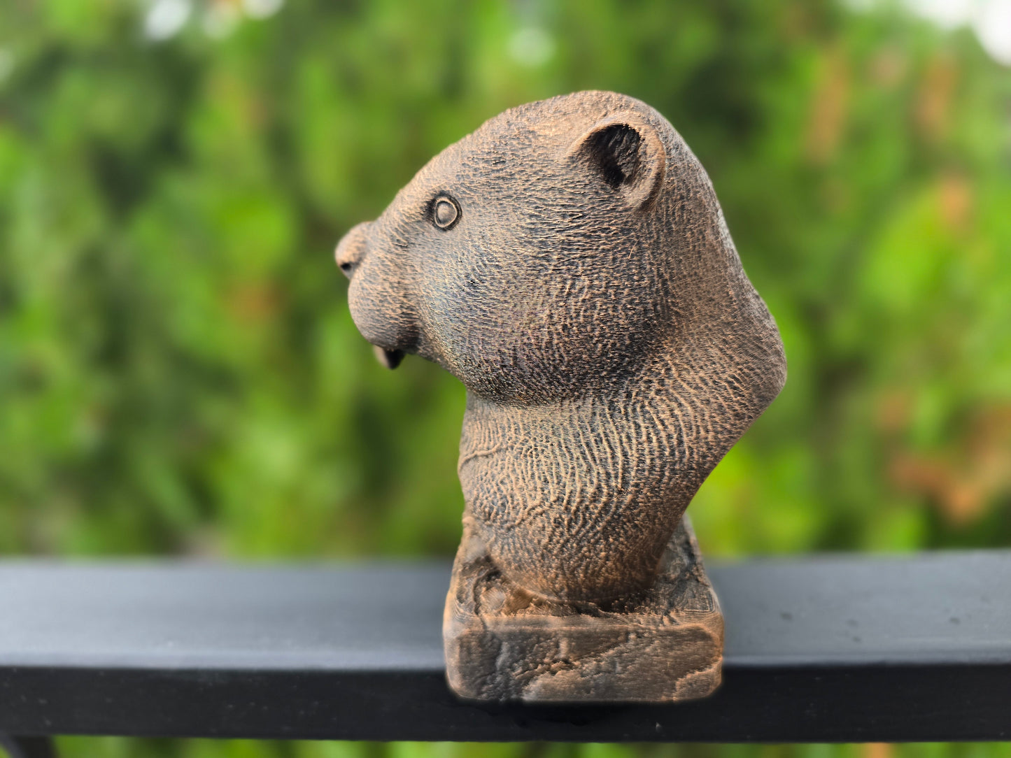 Beaver Bust