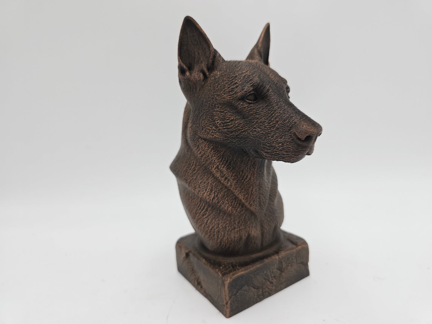 Belgian Malinois Bust