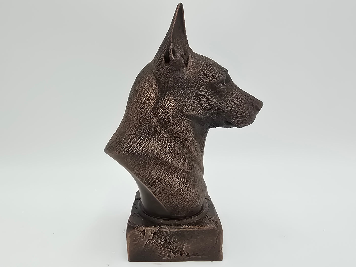 Belgian Malinois Bust