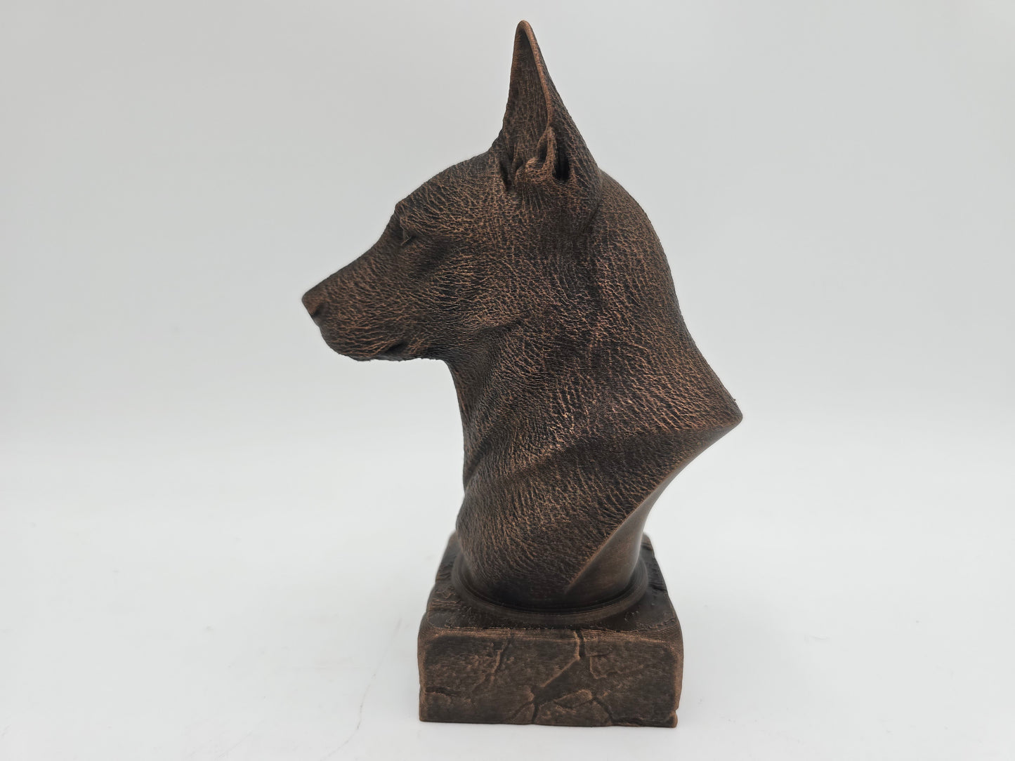 Belgian Malinois Bust