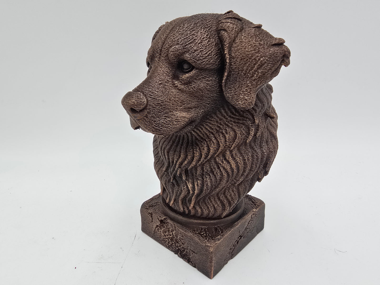 Bernese Mountain Dog Bust