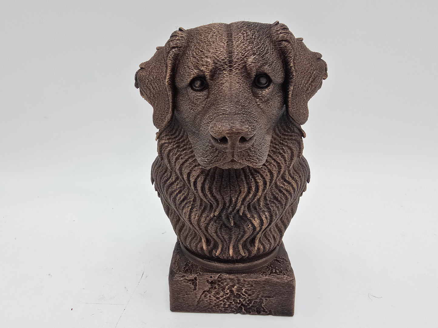 Bernese Mountain Dog Bust