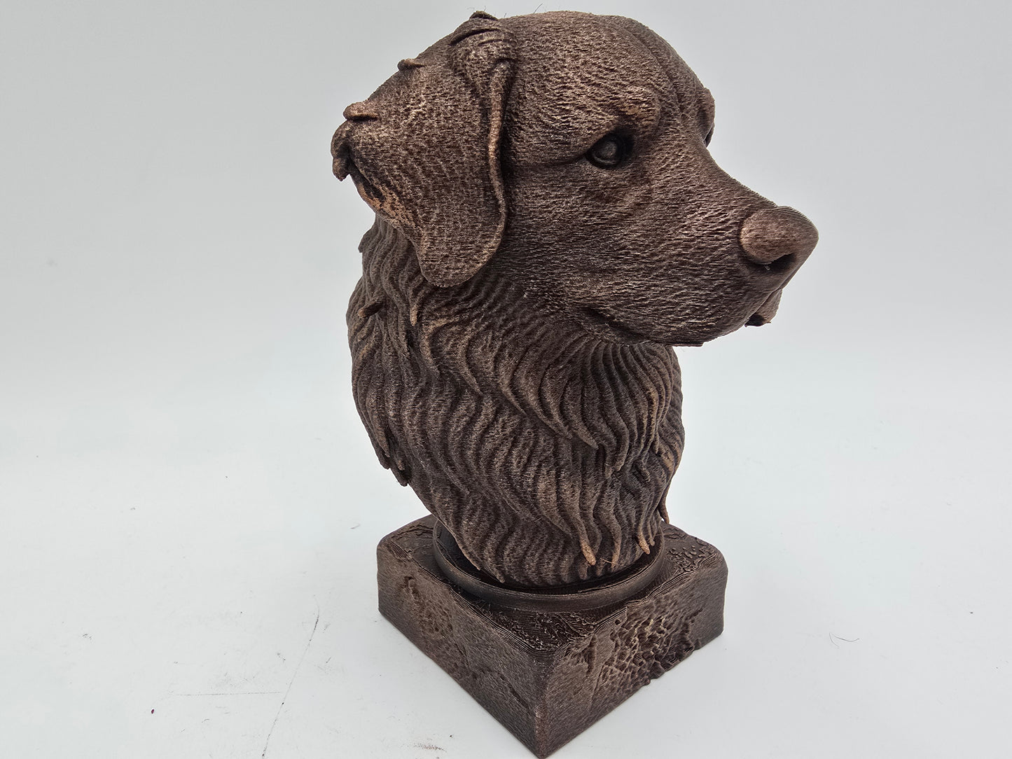 Bernese Mountain Dog Bust