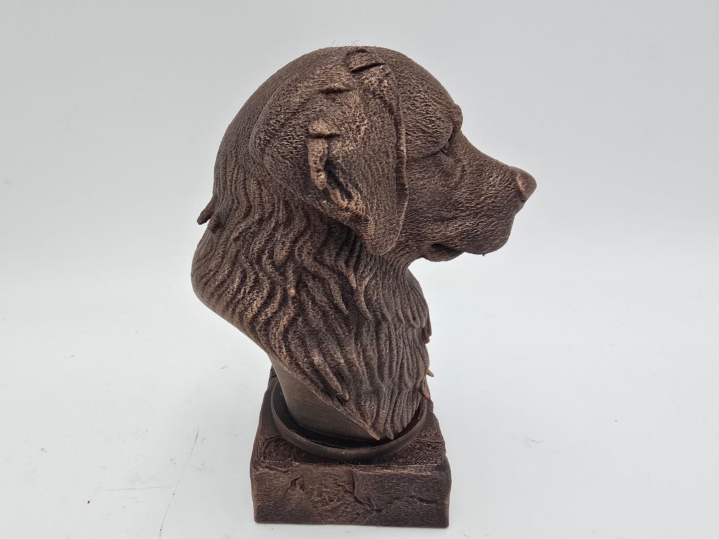 Bernese Mountain Dog Bust