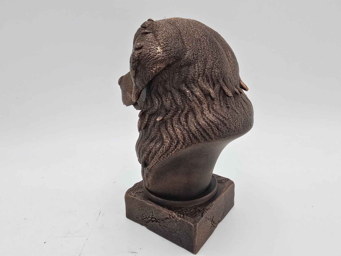 Bernese Mountain Dog Bust