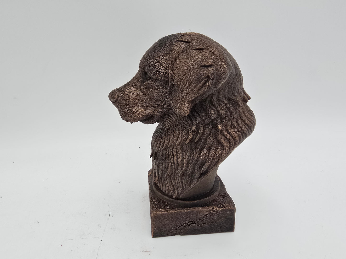 Bernese Mountain Dog Bust