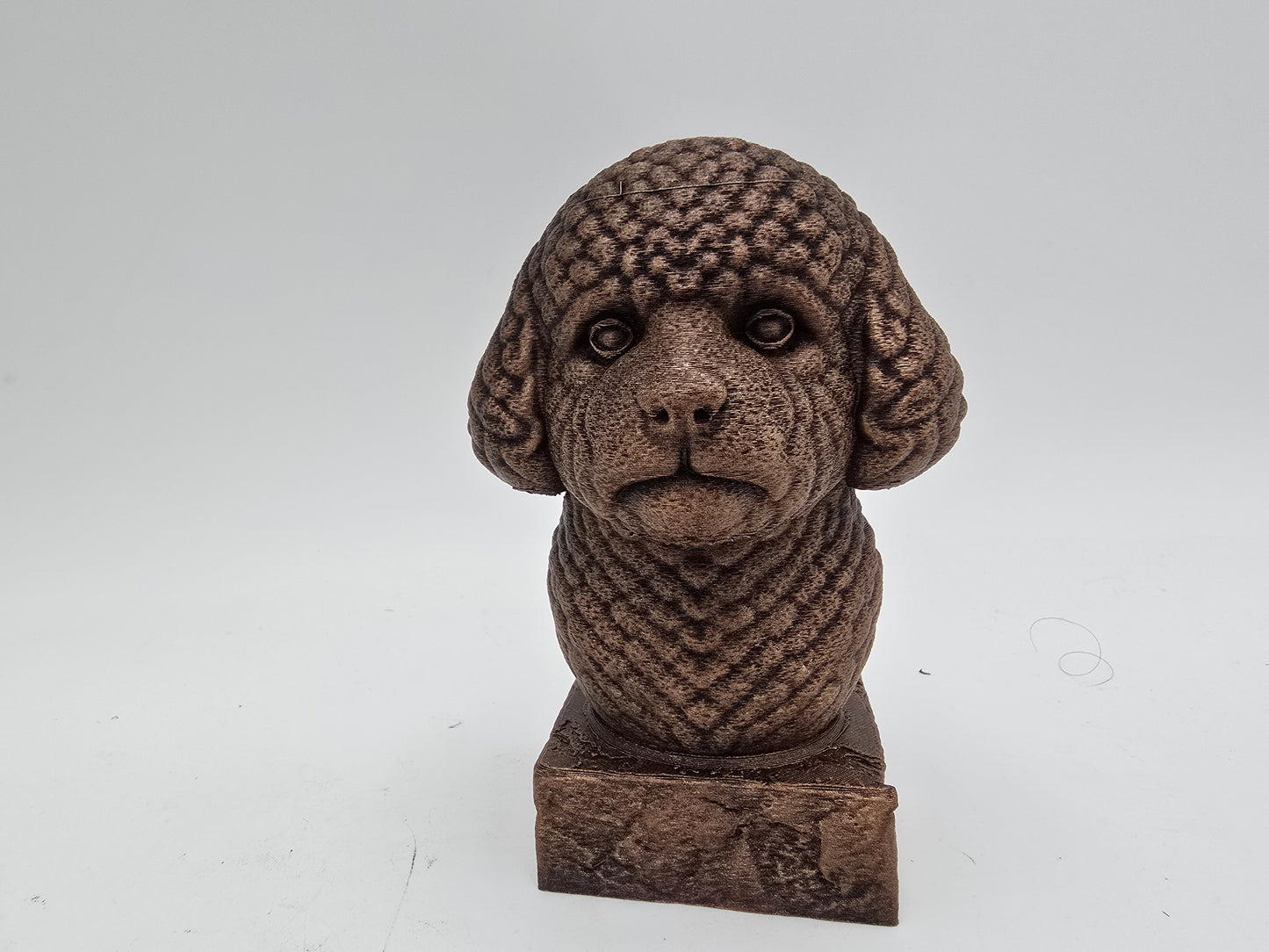 Bichon Frise Bust