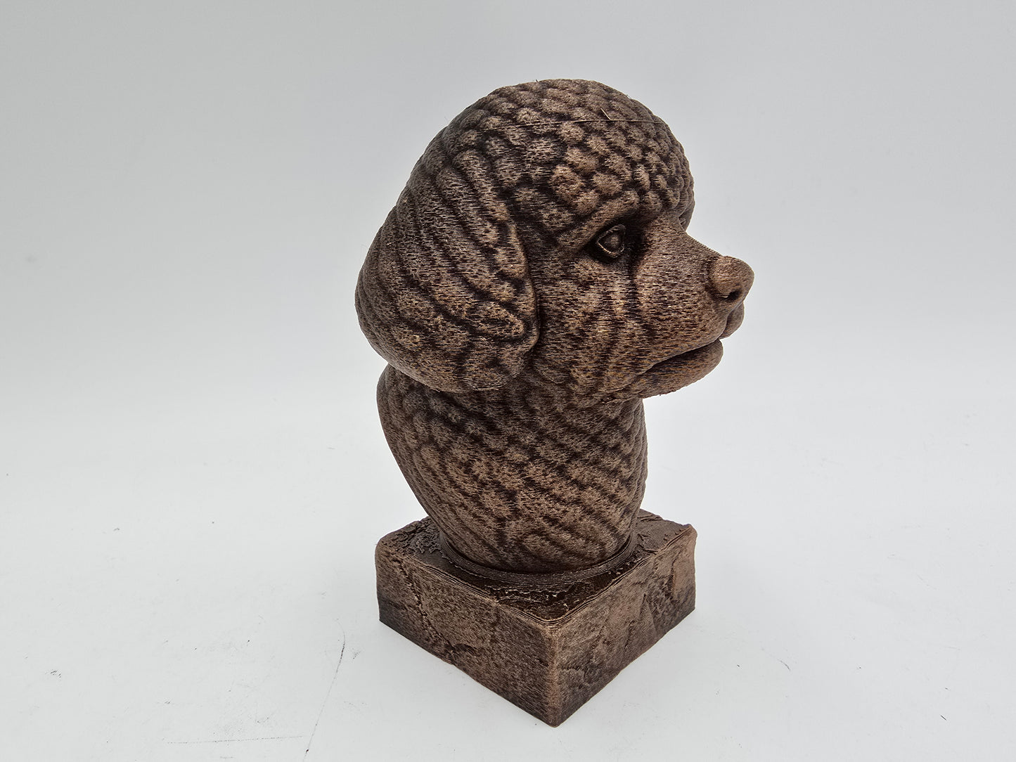 Bichon Frise Bust