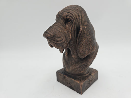 Bloodhound Bust