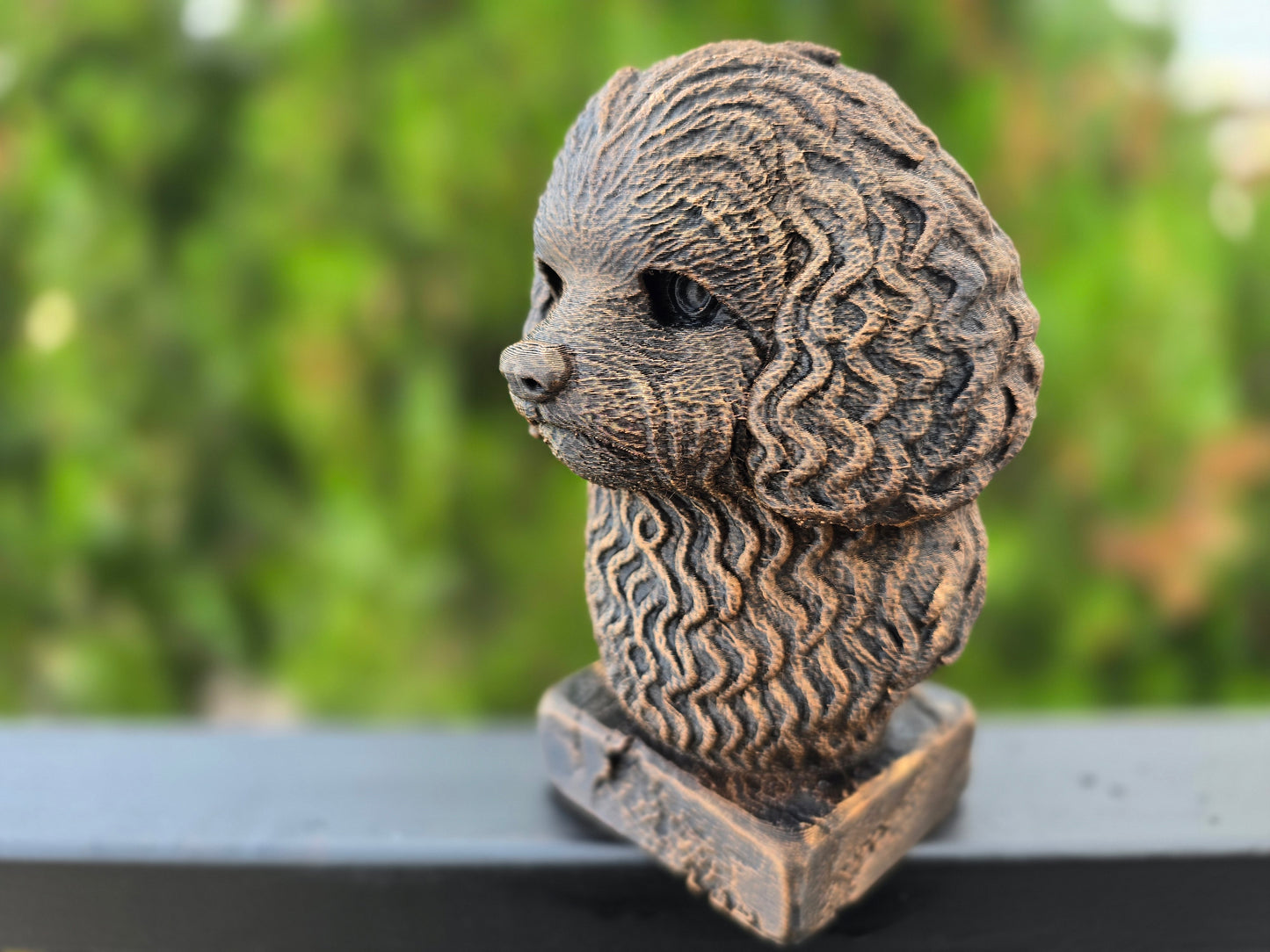 Bolonka Bust