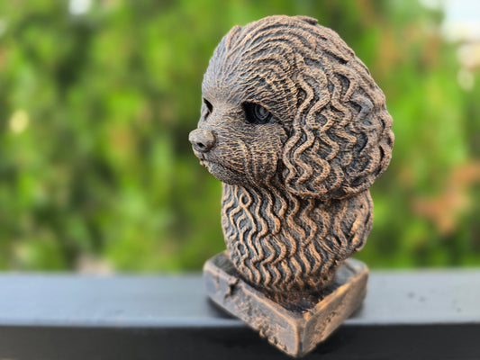 Bolonka Bust