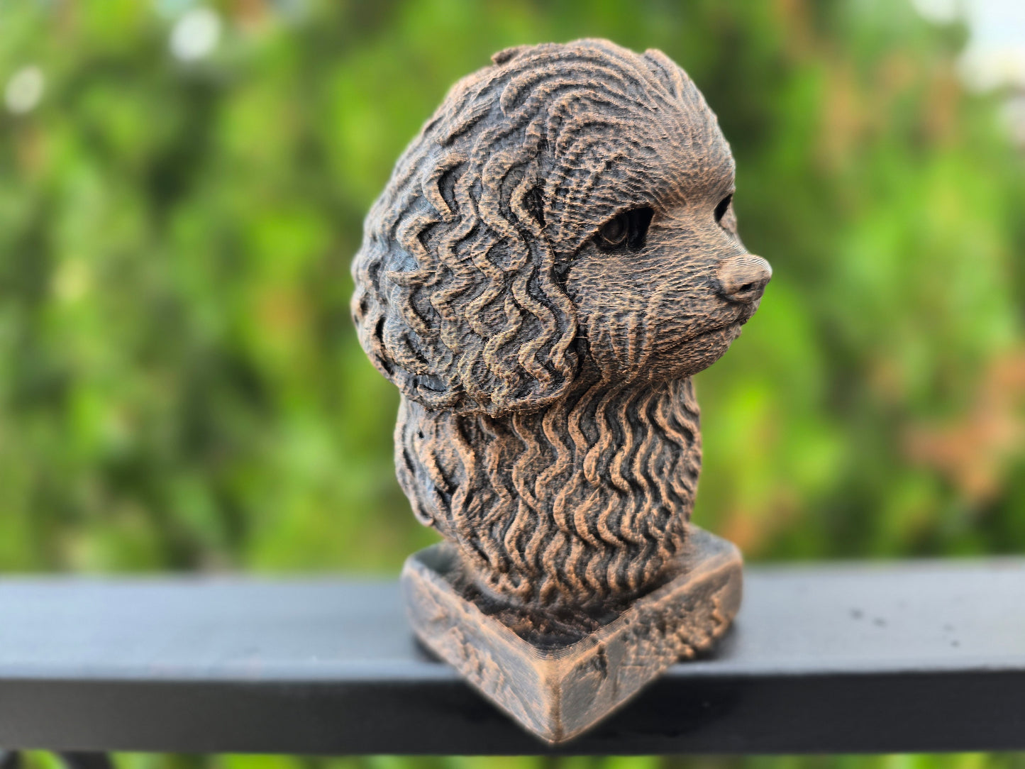 Bolonka Bust