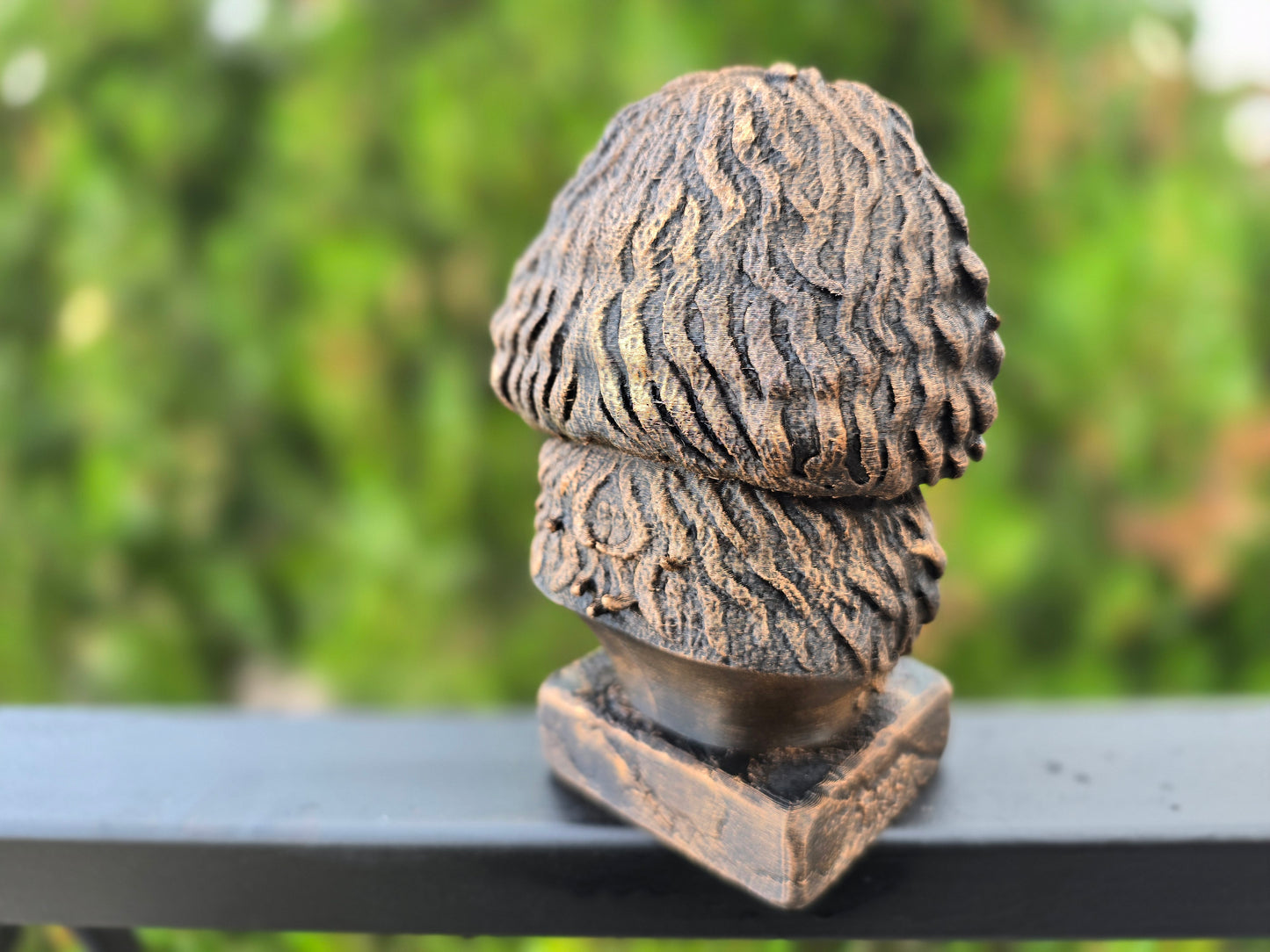 Bolonka Bust
