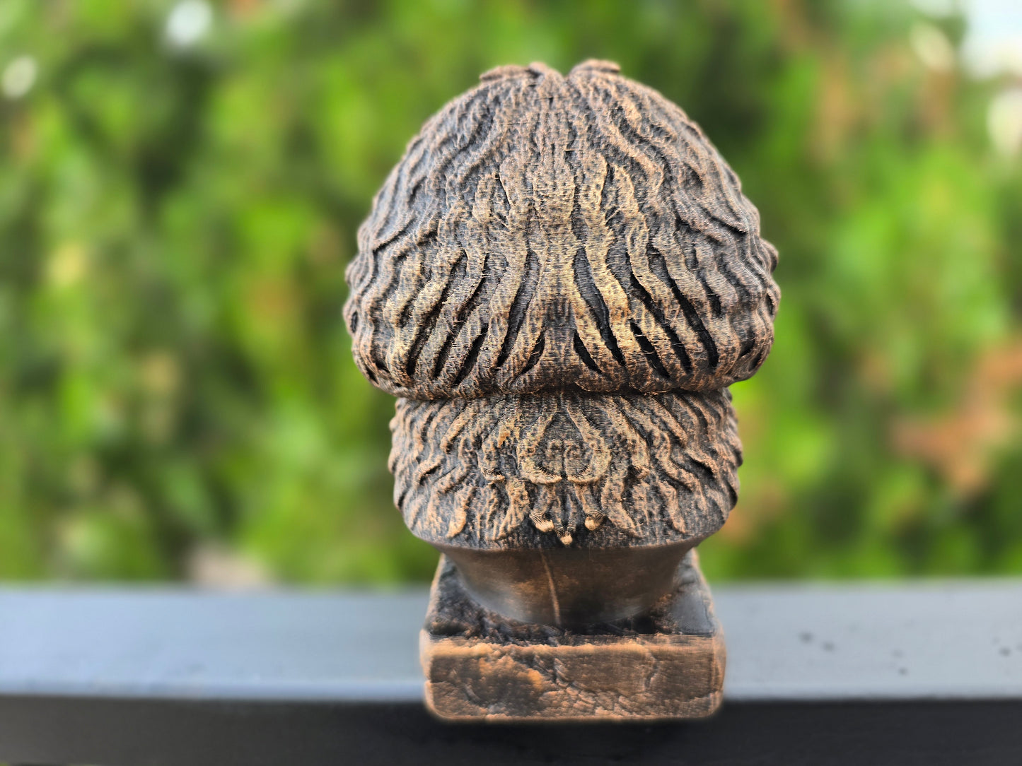 Bolonka Bust