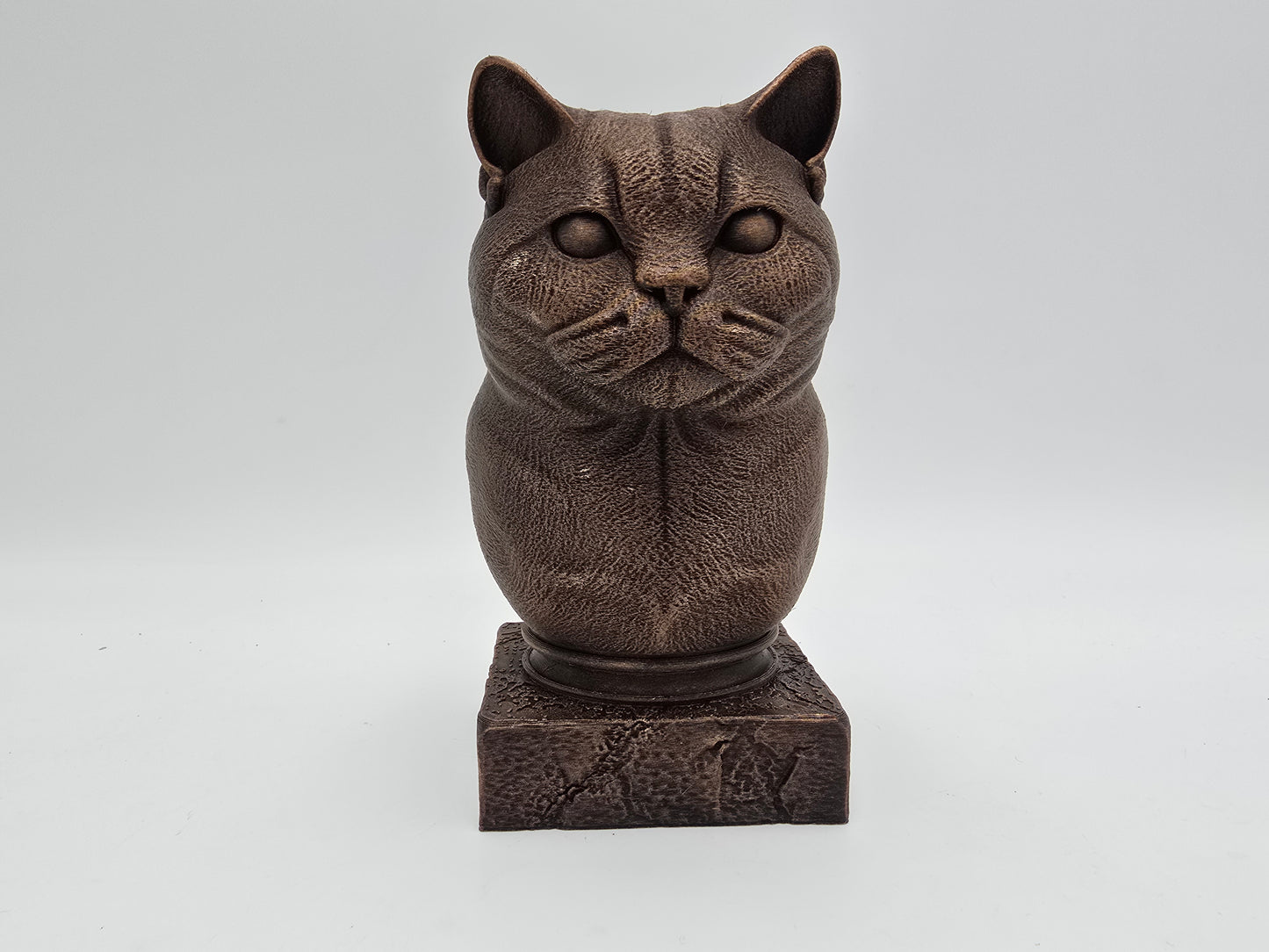 British Shorthair Cat Bust