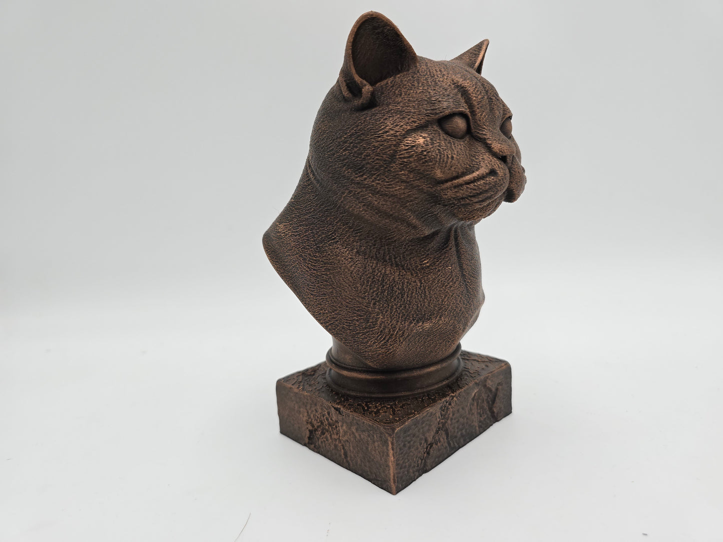 British Shorthair Cat Bust