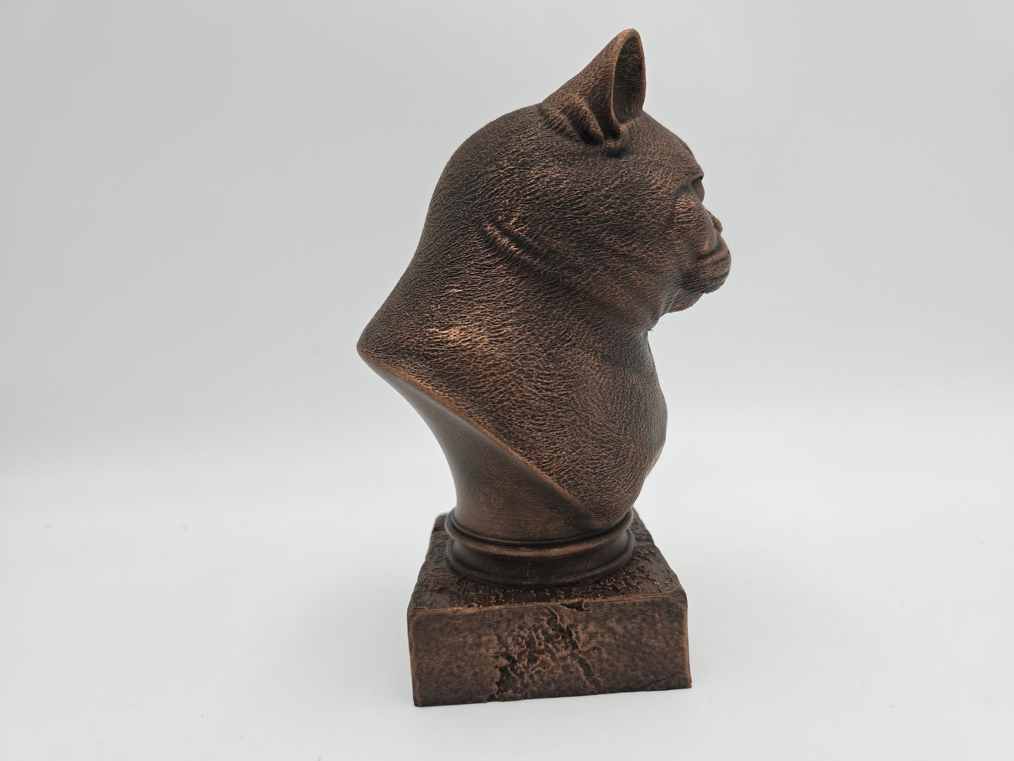 British Shorthair Cat Bust