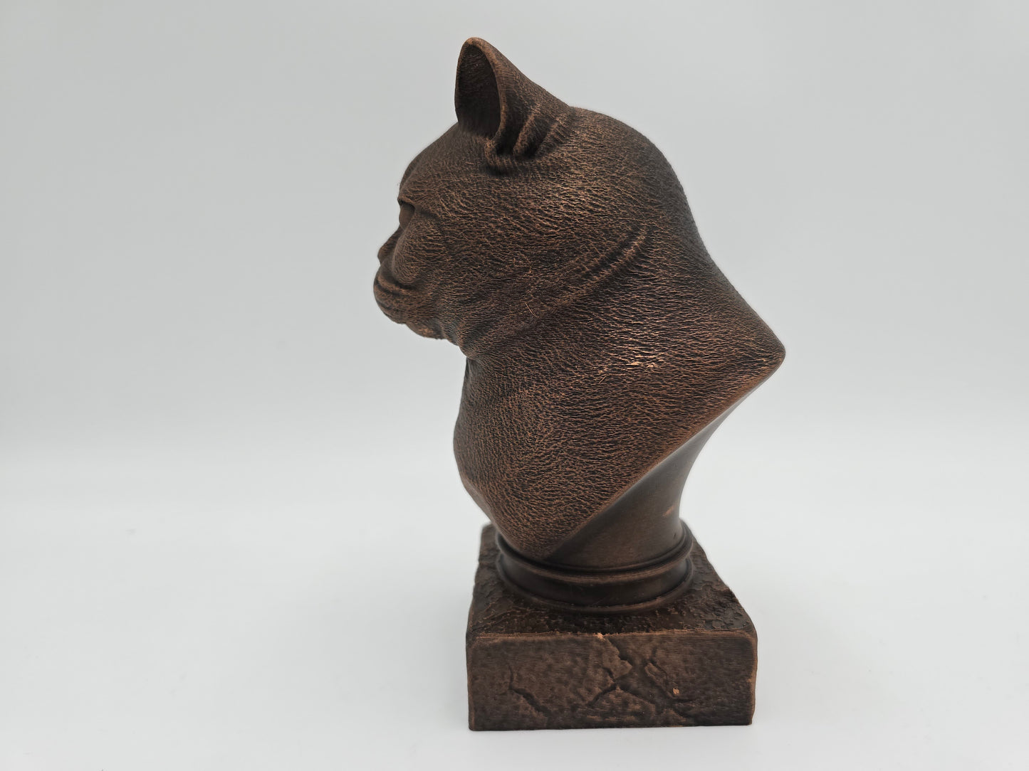 British Shorthair Cat Bust