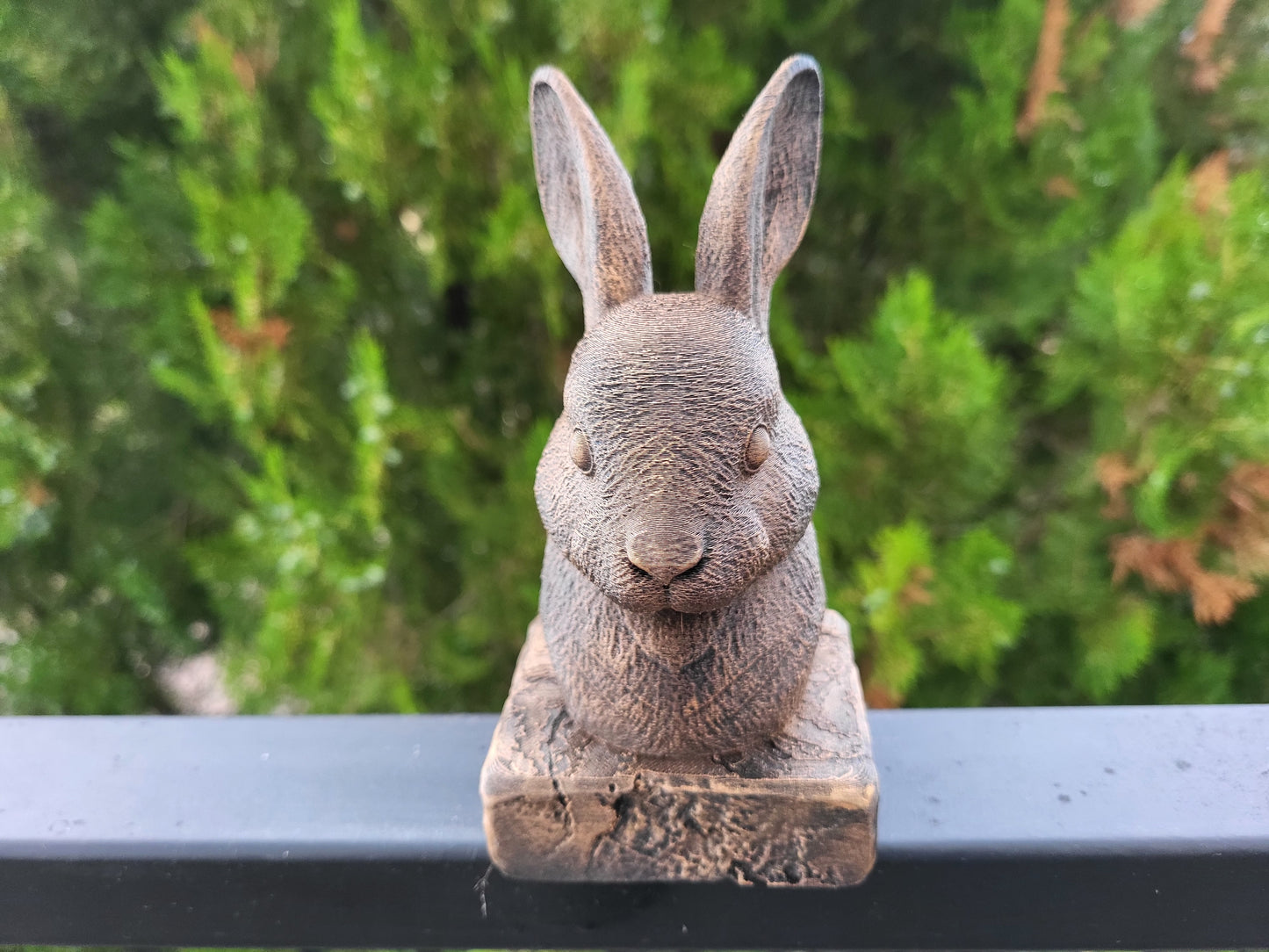 Bunny Rabbit Bust