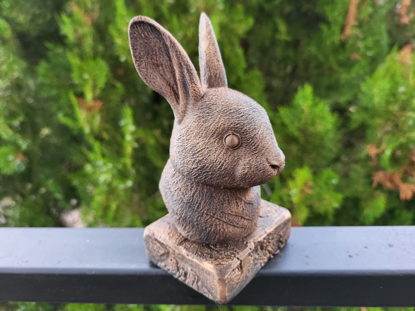 Bunny Rabbit Bust