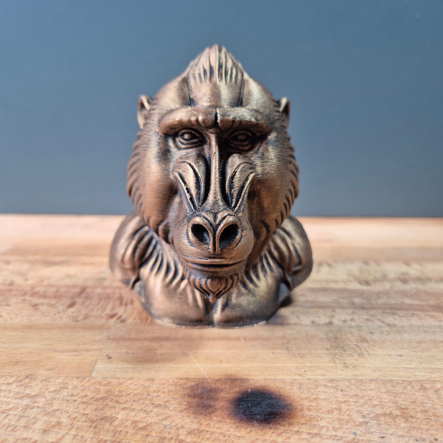 Baboon Bust