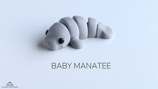 Baby Manatee
