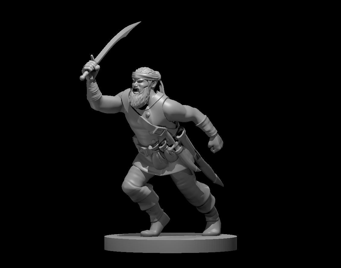 Dungeons & Dragons Bandit Captain Male Miniature