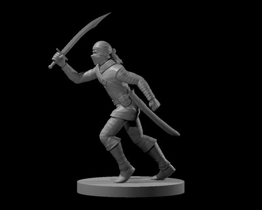Dungeons & Dragons Bandit Male Miniature