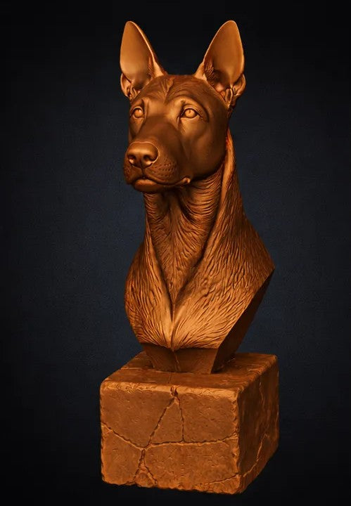 Basenji Bust