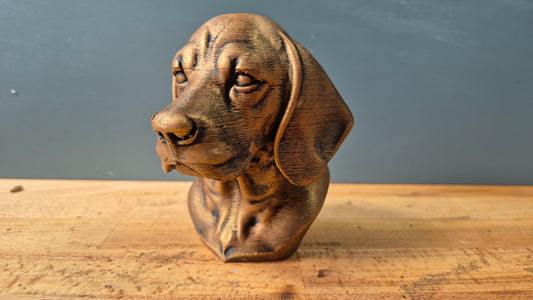 Beagle Bust