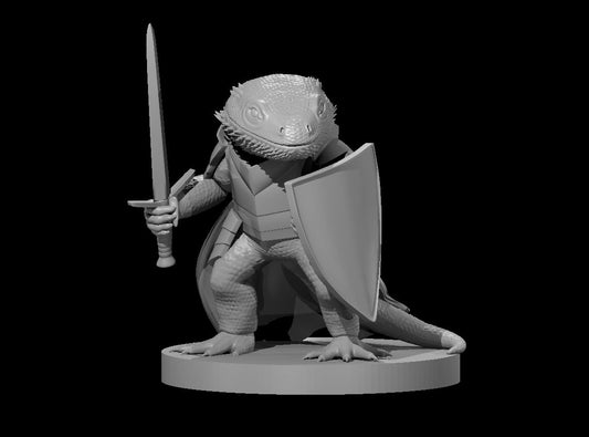 Dungeons & Dragons Bearded Dragonborn Fighter Miniature