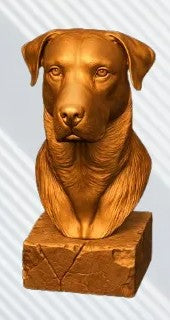 Beauceron Bust